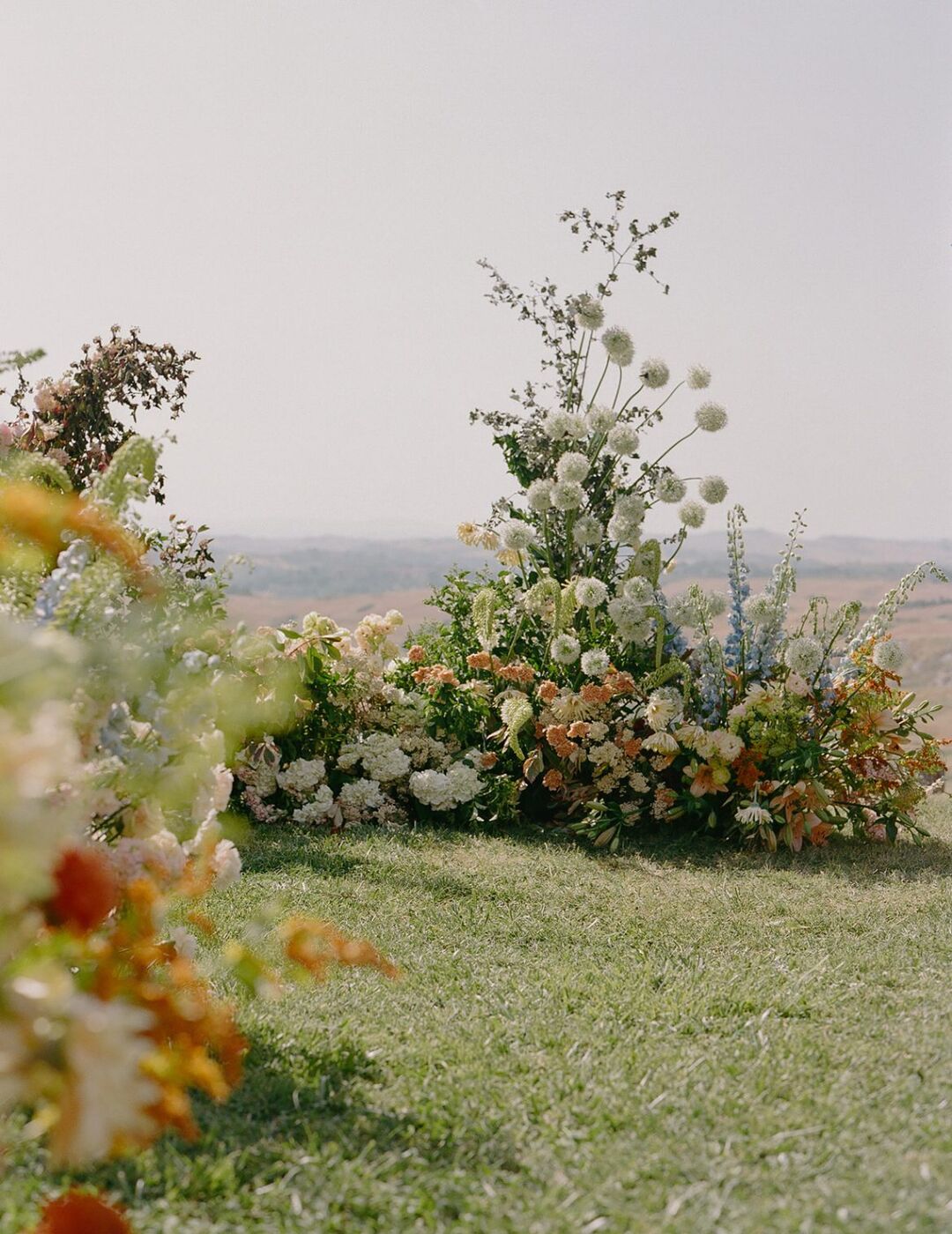 Installazione di fiori di campo su un prato in collina